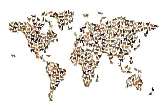 PHOTOWALL / Cats World Map (e22699)