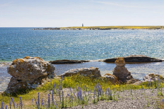 PHOTOWALL / Gotland Seaside (e22860)
