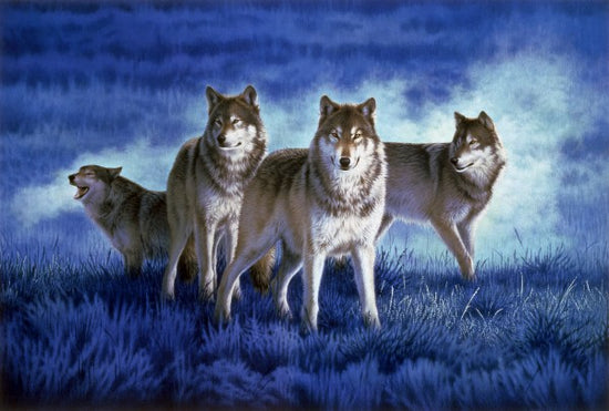 PHOTOWALL / Wolves (e22989)