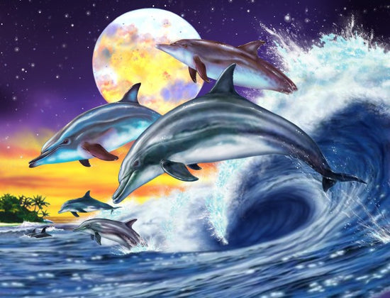 PHOTOWALL / Dolphins (e23010)