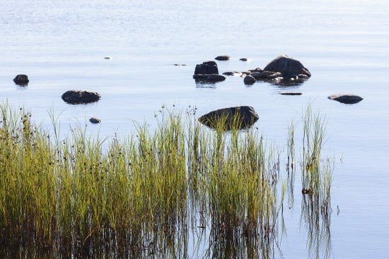 PHOTOWALL / Stones in Water, Gotland (e23050)