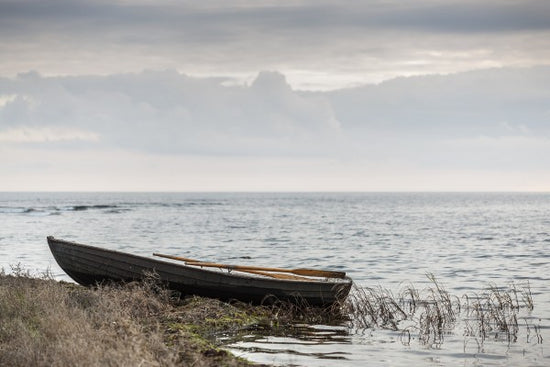 PHOTOWALL / Abandoned Rowboat (e23042)