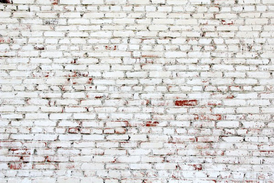 PHOTOWALL / Old Brick Wall with white and red bricks (e23184)