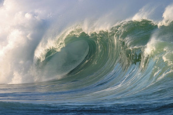 PHOTOWALL / Wave breaking at Waimea Bay (e23201)