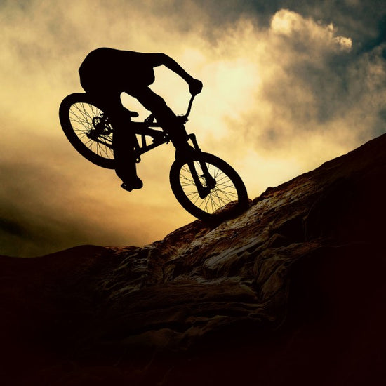 PHOTOWALL / Mountain Bike Rider (e23210)