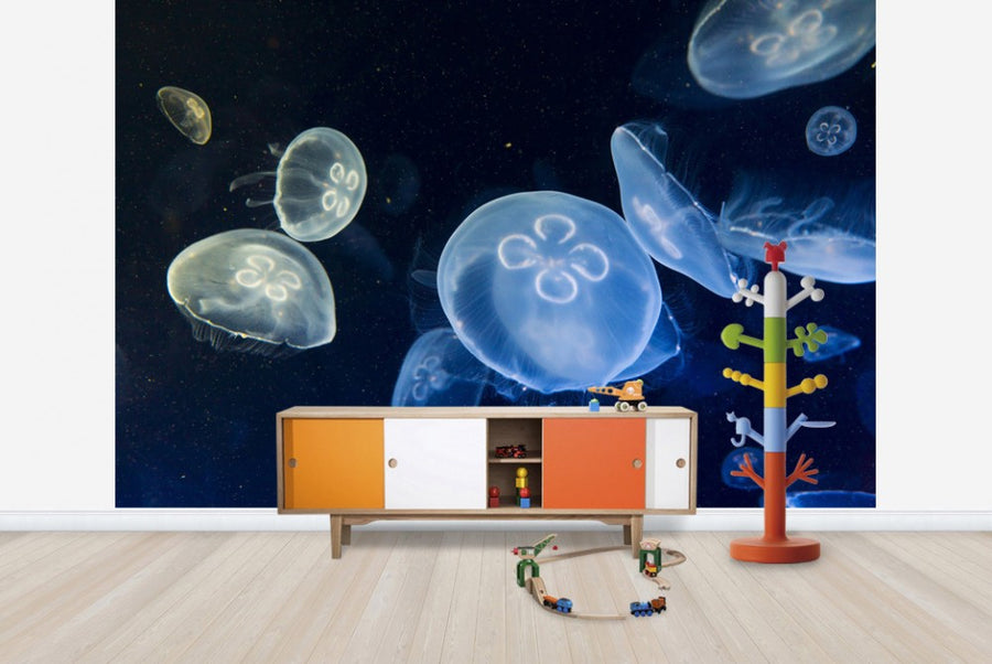 PHOTOWALL / Floating Jellyfish (e23255)