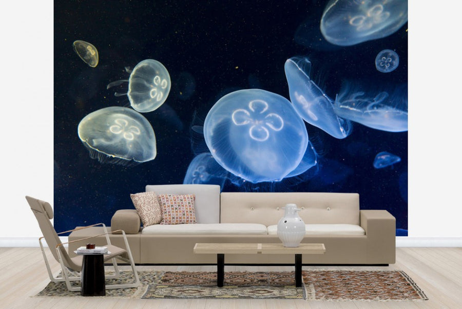 PHOTOWALL / Floating Jellyfish (e23255)