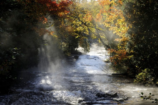 PHOTOWALL / Waterfall with Autumn Colors (e23587)