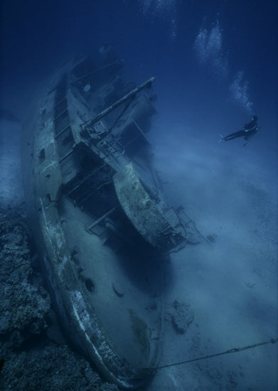 PHOTOWALL / Shipwreck and Diver (e23592)