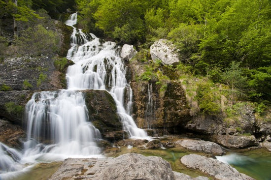 PHOTOWALL / Springs of Yaga River (e23605)