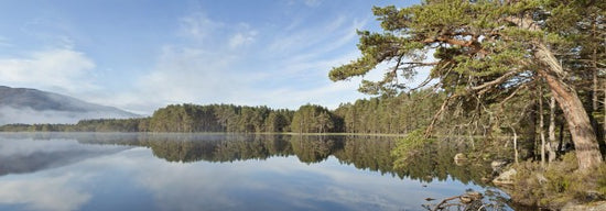 PHOTOWALL / Loch Panorama (e23615)