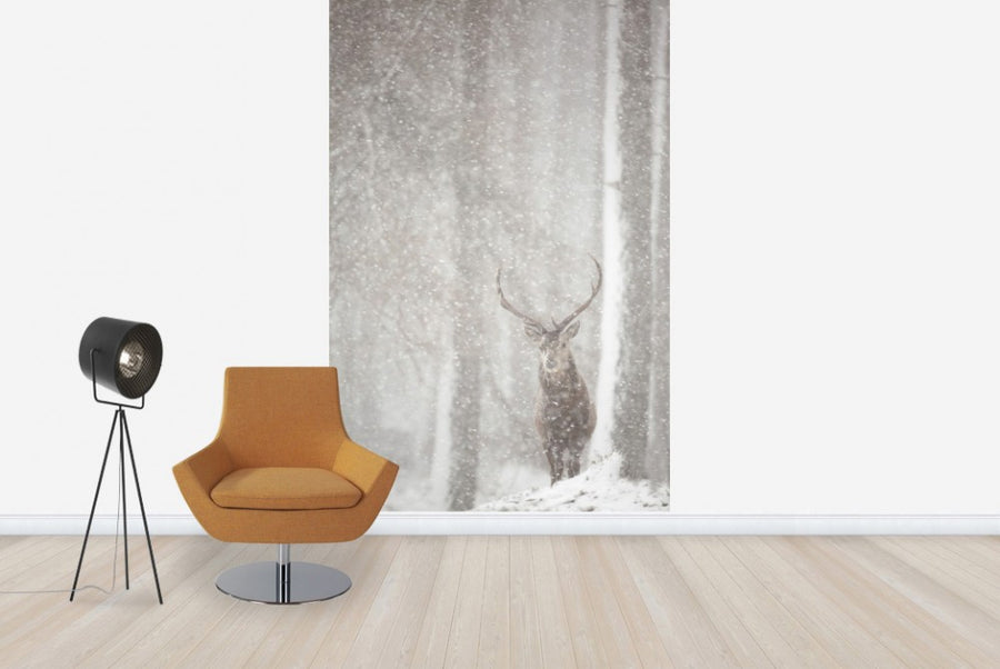 PHOTOWALL / Red Deer in Heavy Snowfall (e23616)