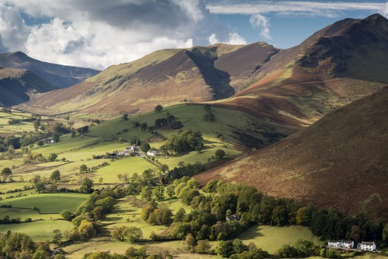 PHOTOWALL / Newlands Valley (e23629)