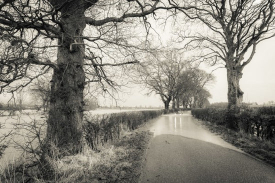 PHOTOWALL / Flooded Road (e23637)