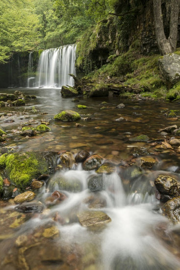 PHOTOWALL / Clear Water Stream (e23657)