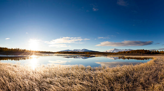 PHOTOWALL / Northern Swedish Landscape (e23674)