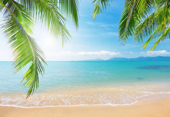 PHOTOWALL / Tropical View from under a Palm Tree (e40067)