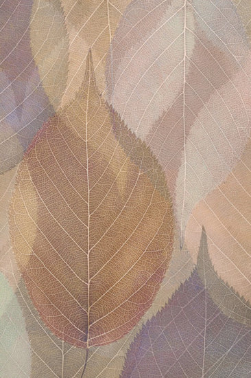 PHOTOWALL / Dreamy Leaf Pattern (e23720)