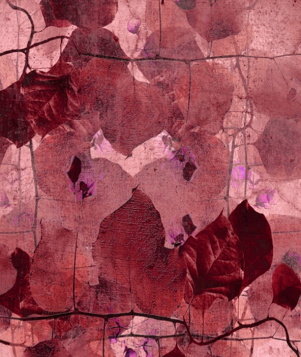 PHOTOWALL / Bordeaux Grapevine (e40178) | 輸入壁紙専門店 WALPA