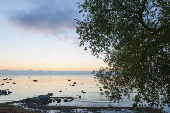 PHOTOWALL / Gotland Sea Landscape at Sunset (e23780)