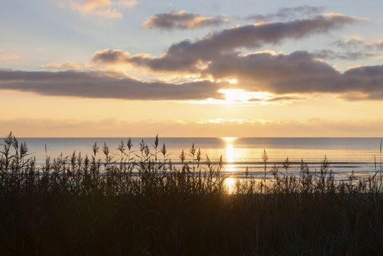 PHOTOWALL / Grass and Sunset - Gotland (e23781)