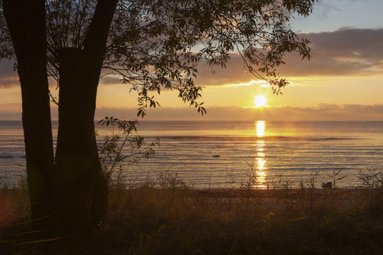 PHOTOWALL / Yellow Sun over the Gotland Sea (e23788)
