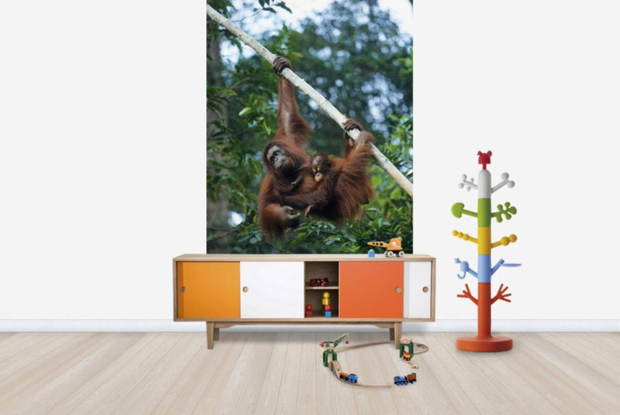PHOTOWALL / Climbing Orangutan (e23789)