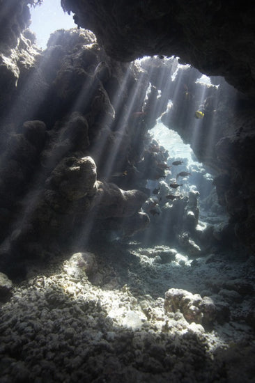 PHOTOWALL / Sunbeams through Water (e23790)