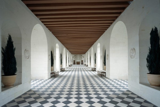 PHOTOWALL / Castle of Chenonceaux (e23793)