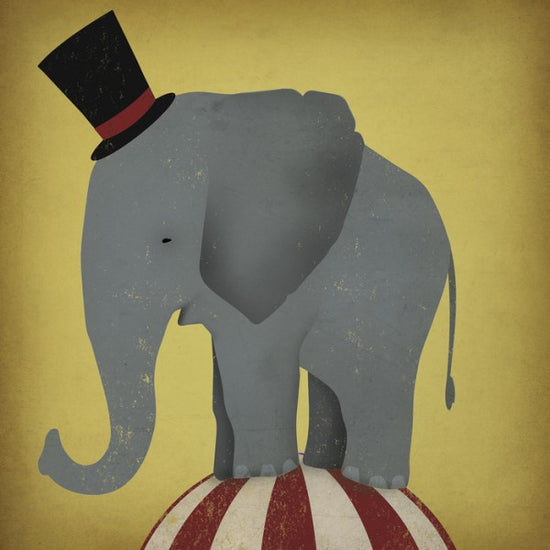 PHOTOWALL / Circus Elephant (e23849)