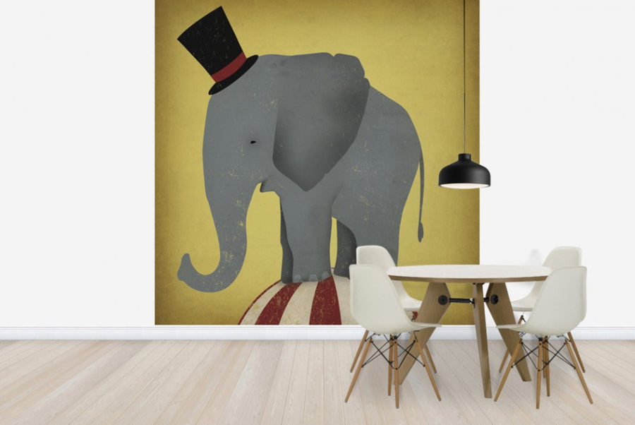 PHOTOWALL / Circus Elephant (e23849)