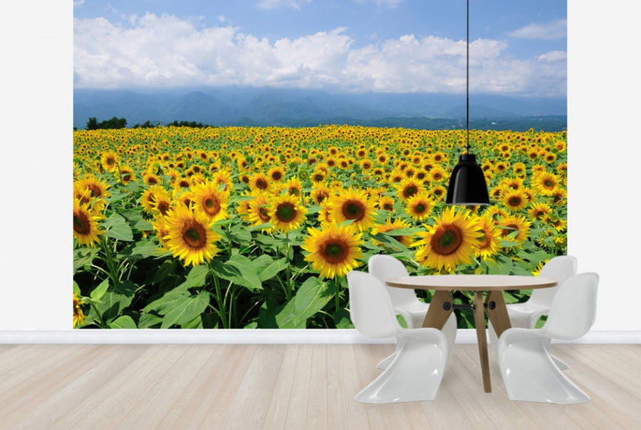 PHOTOWALL / Sunflowers in Sunny Weather (e23934)