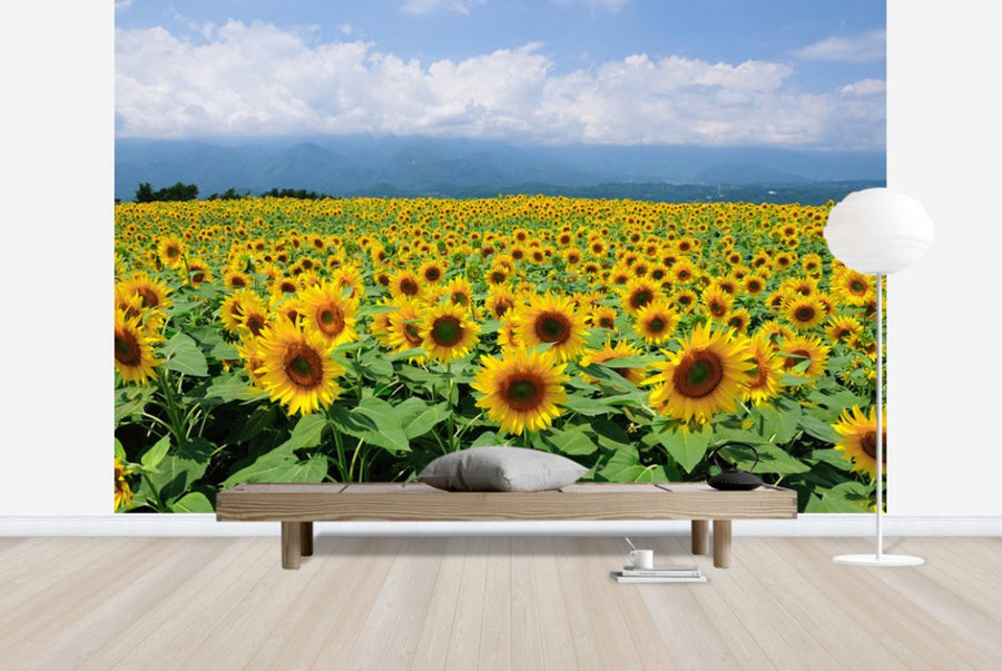 PHOTOWALL / Sunflowers in Sunny Weather (e23934)