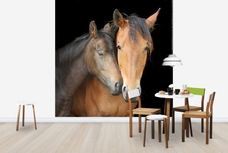 PHOTOWALL / Horse and Foal (e24073)