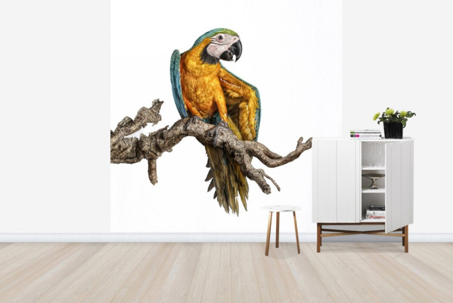 PHOTOWALL / Dancing Parrot (e24140)