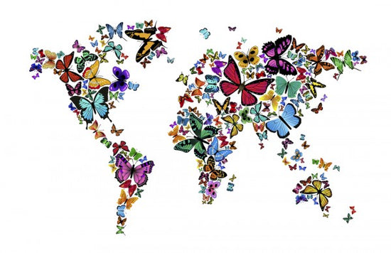 PHOTOWALL / Large Butterflies World Map (e24208)