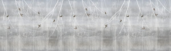 PHOTOWALL / Bohemian Birds - Pale Blue (e24468)