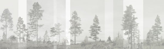 PHOTOWALL / Panorama - Beige (e24476)