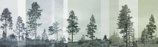 PHOTOWALL / Panorama - Bluegreen (e24478)