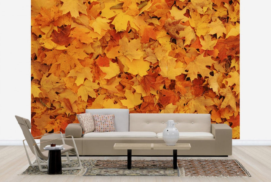 PHOTOWALL / Bed of Autumn Maple Leaves (e24602)