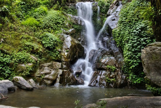 PHOTOWALL / Waterfall and Forest Pool (e24584)