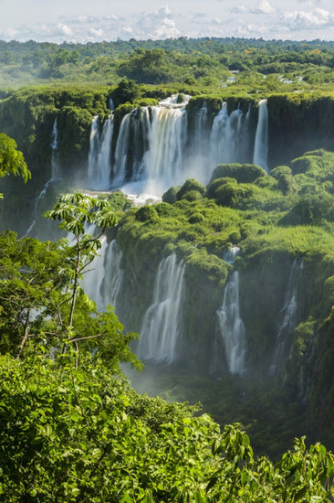 PHOTOWALL / Iguazu Waterfall Through Trees (e24672)