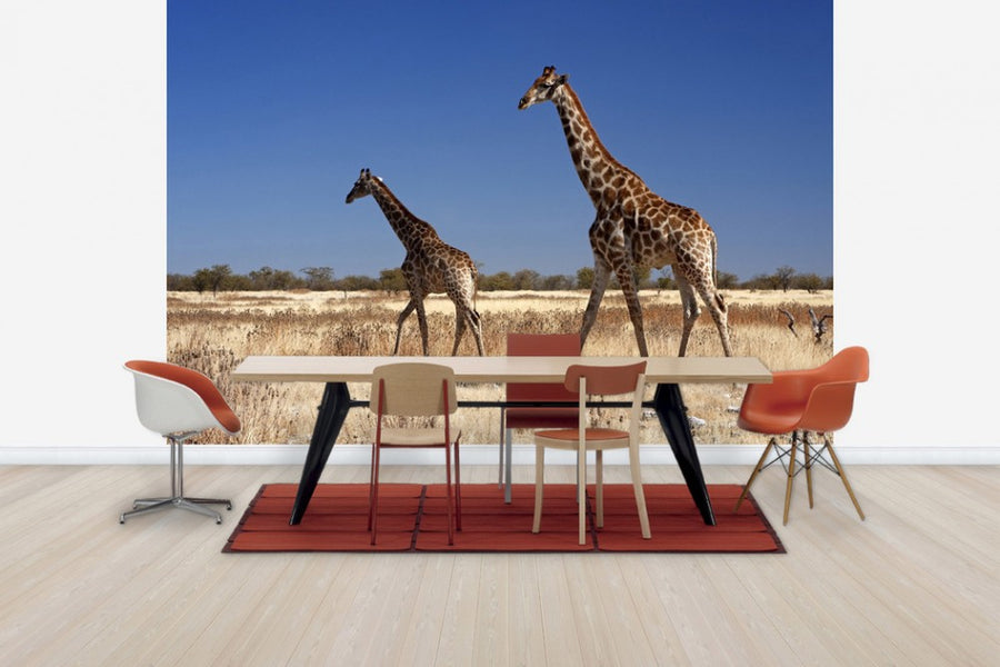 PHOTOWALL / Giraffes at Etosha National Park (e24638)