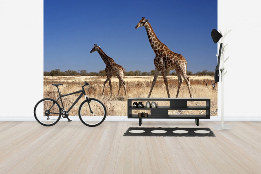 PHOTOWALL / Giraffes at Etosha National Park (e24638)