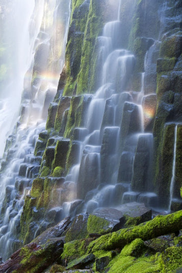 PHOTOWALL / Proxy Falls with Rainbow (e24701)