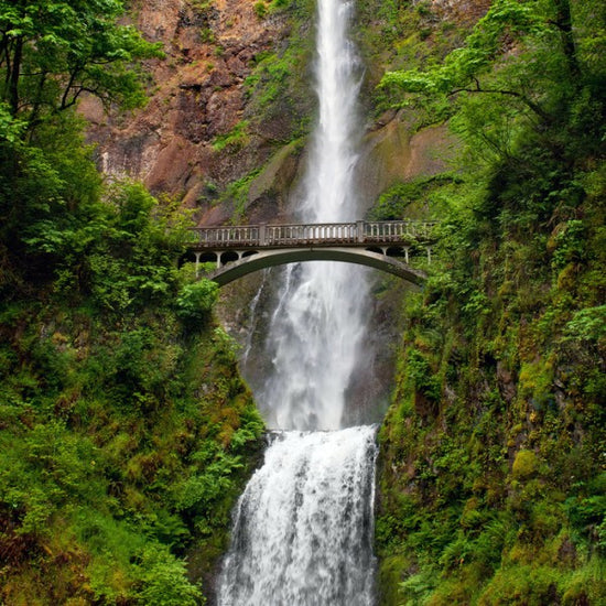PHOTOWALL / Multnomah Falls (e24797)