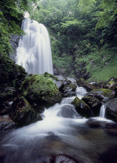 PHOTOWALL / Beauty of Japan (e24834)