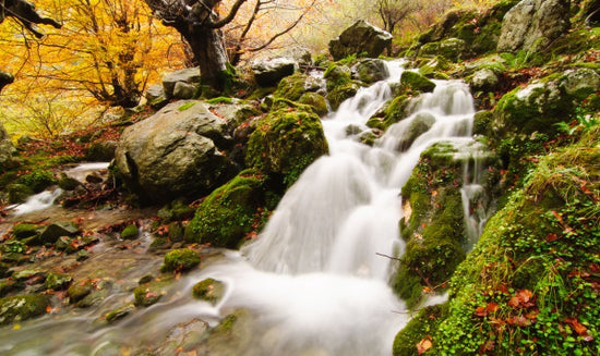 PHOTOWALL / Waterfall of Collados del Ason (e24842)