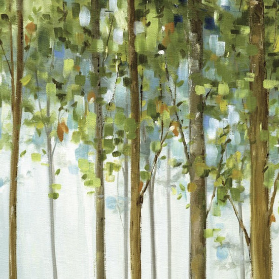 PHOTOWALL / Forest Study 2 (e24891)