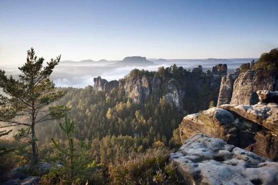 PHOTOWALL / Morning at the Bastei (e40269)